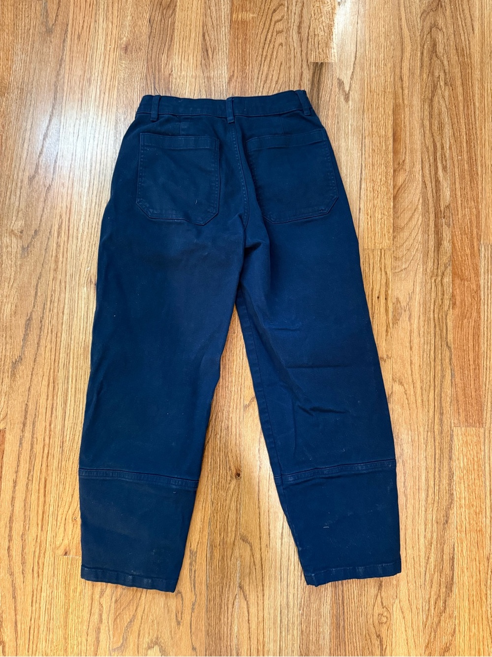 Everlane Navy Barrel leg pant